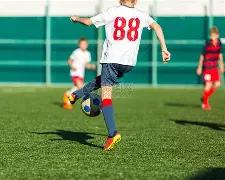 细究字句,评选年度语,言错误,海星体育直播在线,海星体育直播tv官网,海星体育直播app下载,海星体育直播平台