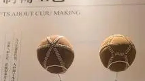 费德勒因伤告别2025赛季征程