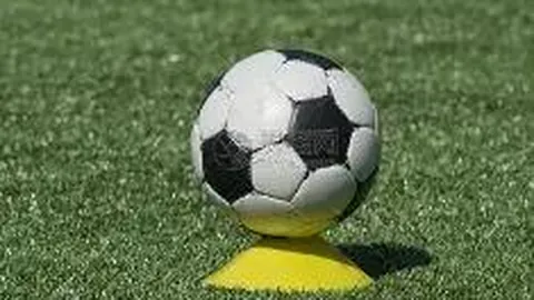 海星体育直播app下载 产品 093856 3vd