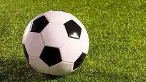 海星体育直播app下载 资讯 094417 up9