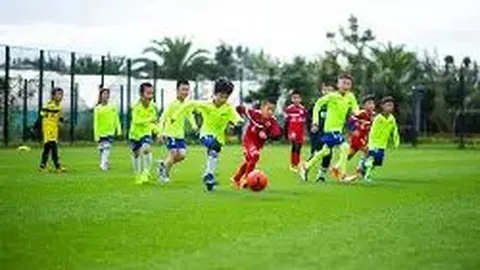 海星体育直播app下载 产品 093951 6du